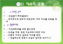 민주주의  15페이지