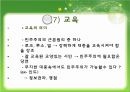 민주주의  20페이지