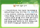 민주주의  30페이지