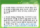 민주주의  31페이지