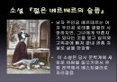 유명인 자살과 베르테르 효과  4페이지
