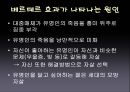 유명인 자살과 베르테르 효과  24페이지