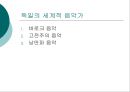 독일 (통일, 명소와 문화유산, 예술)  14페이지