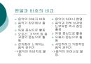 독일 (통일, 명소와 문화유산, 예술)  18페이지