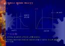 고령화 사회 어떻게 대처해야 하는가  11페이지