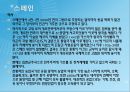 스페인과 브라질 3페이지