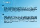 스페인과 브라질 4페이지