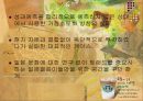 스타벅스 글로벌 마케팅 전략  22페이지
