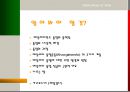 이탈리아의 통일  2페이지