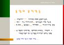 이탈리아의 통일  5페이지
