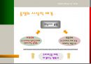 이탈리아의 통일  6페이지