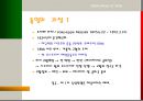 이탈리아의 통일  7페이지