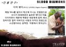 블러드 다이아몬드(Blood Diamond, 2007) (기독교적 관점으로)  7페이지