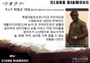 블러드 다이아몬드(Blood Diamond, 2007) (기독교적 관점으로)  9페이지