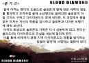 블러드 다이아몬드(Blood Diamond, 2007) (기독교적 관점으로)  13페이지