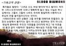블러드 다이아몬드(Blood Diamond, 2007) (기독교적 관점으로)  29페이지