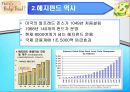 hedge fund는 규제가 필요한가 [헤지펀드 정의] 4페이지