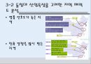 달구벌 돌침대의 중국진출전략 ppt 25페이지