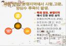 국제 사면 위원회 (Amnesty International).ppt 28페이지