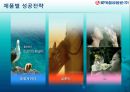 롯데칠성의 성공전략  14페이지