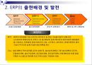 ERP  10페이지