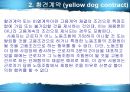 부당노동행위와 구제  10페이지