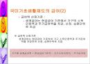 공적부조제도에 대하여 [국민기초생활보장제도와 의료보호]  7페이지