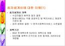 공적부조제도에 대하여 [국민기초생활보장제도와 의료보호]  24페이지