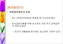 공적부조제도에 대하여 [국민기초생활보장제도와 의료보호]  40페이지