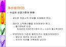 공적부조제도에 대하여 [국민기초생활보장제도와 의료보호]  41페이지