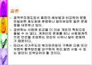 공적부조제도에 대하여 [국민기초생활보장제도와 의료보호]  46페이지