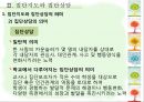 집단지도와 집단상담  5페이지
