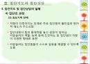 집단지도와 집단상담  24페이지
