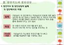 집단지도와 집단상담  28페이지