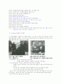 칼 구스타프 융  4페이지