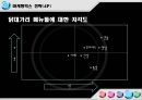 ☆닭대가리 브랜드 마케팅 분석 및 닭대가리&무봤나촌닭 비교☆ 28페이지