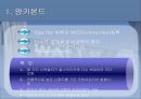 외국채시장,외국채규모,유로채,외국채종류,양키본드,사무라이본드,아리랑본드,아리랑본드활성화방안 9페이지