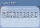 외국채시장,외국채규모,유로채,외국채종류,양키본드,사무라이본드,아리랑본드,아리랑본드활성화방안 13페이지
