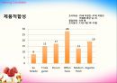 YOGURT ICE-CREAM SHOP - 요거트사업,아이스크림사업,마케팅,브랜드,브랜드마케팅,기업,서비스마케팅,글로벌,경영,시장,사례,swot,stp,4p.PPT자료 79페이지