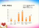 YOGURT ICE-CREAM SHOP - 요거트사업,아이스크림사업,마케팅,브랜드,브랜드마케팅,기업,서비스마케팅,글로벌,경영,시장,사례,swot,stp,4p.PPT자료 81페이지