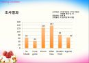 YOGURT ICE-CREAM SHOP - 요거트사업,아이스크림사업,마케팅,브랜드,브랜드마케팅,기업,서비스마케팅,글로벌,경영,시장,사례,swot,stp,4p.PPT자료 82페이지