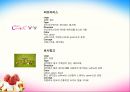 YOGURT ICE-CREAM SHOP - 요거트사업,아이스크림사업,마케팅,브랜드,브랜드마케팅,기업,서비스마케팅,글로벌,경영,시장,사례,swot,stp,4p.PPT자료 91페이지