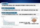 위험과 수익률 - 체계적위험과베타,분산효과와포트폴리오위험,위험과수익률간의상반관계,CAPM,자본자산가격결정모형.PPT자료 13페이지