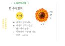 유전학,유전자,염색체,dna,증후군,다운증후군 4페이지