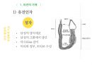 유전학,유전자,염색체,dna,증후군,다운증후군 5페이지
