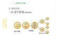유전학,유전자,염색체,dna,증후군,다운증후군 14페이지