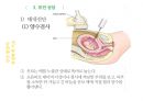 유전학,유전자,염색체,dna,증후군,다운증후군 33페이지