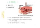 유전학,유전자,염색체,dna,증후군,다운증후군 35페이지