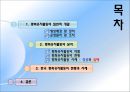 유엔평화유지,유엔,평화,브랜드마케팅,서비스마케팅,글로벌경영,사례분석,swot,stp,4p 2페이지