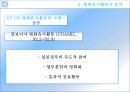 유엔평화유지,유엔,평화,브랜드마케팅,서비스마케팅,글로벌경영,사례분석,swot,stp,4p 13페이지